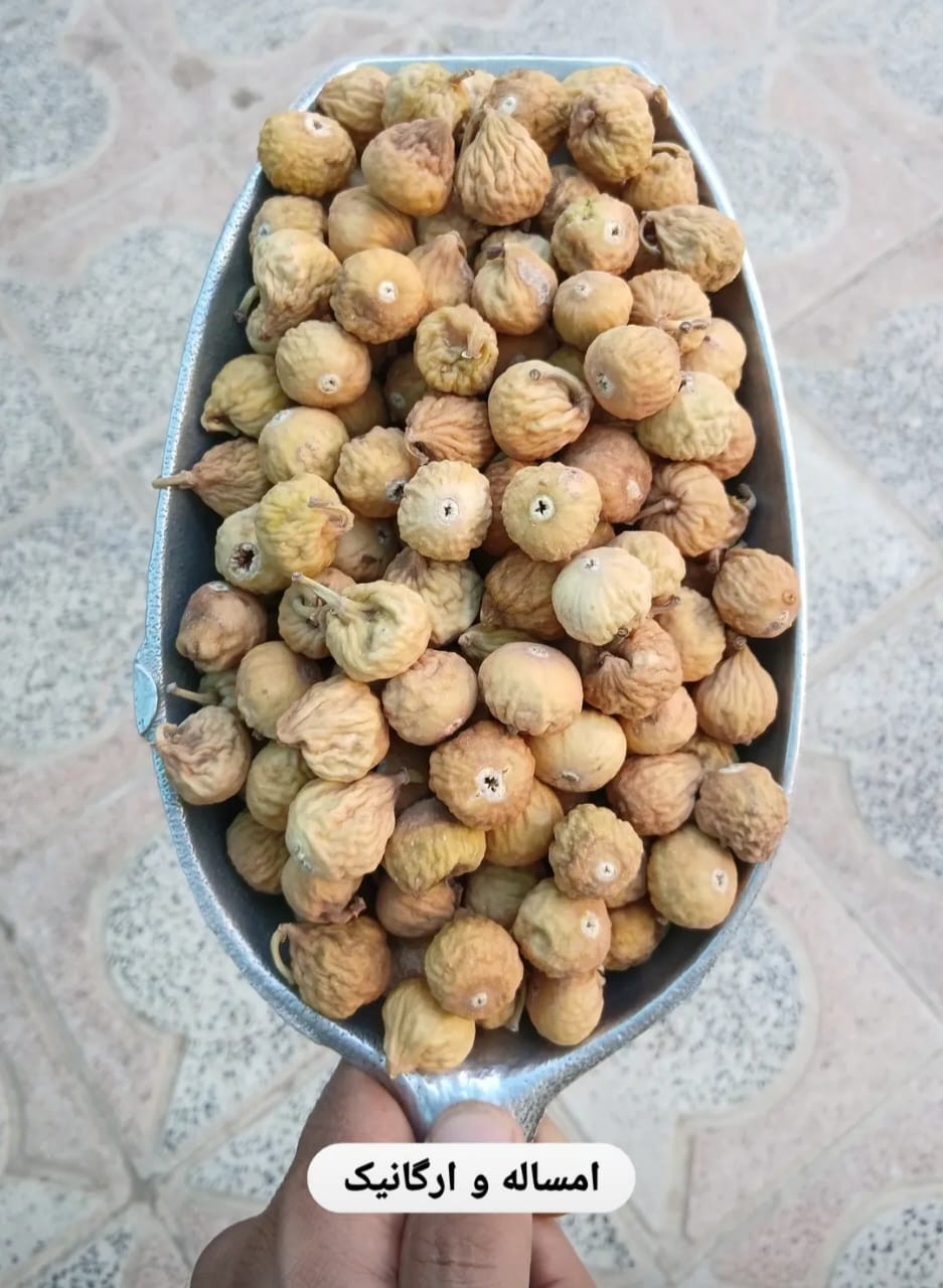 انجیر