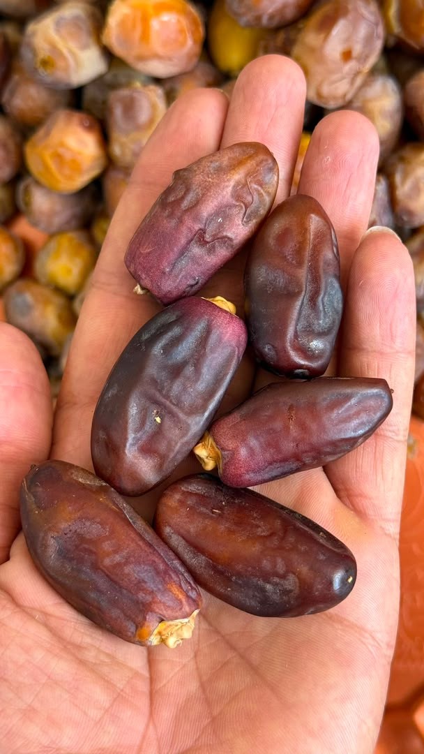 محصولات خرمایی