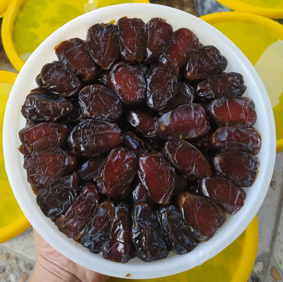خرما