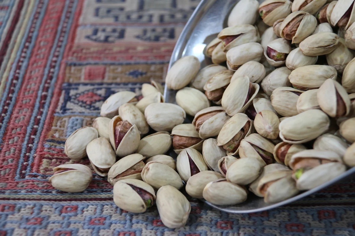 پسته