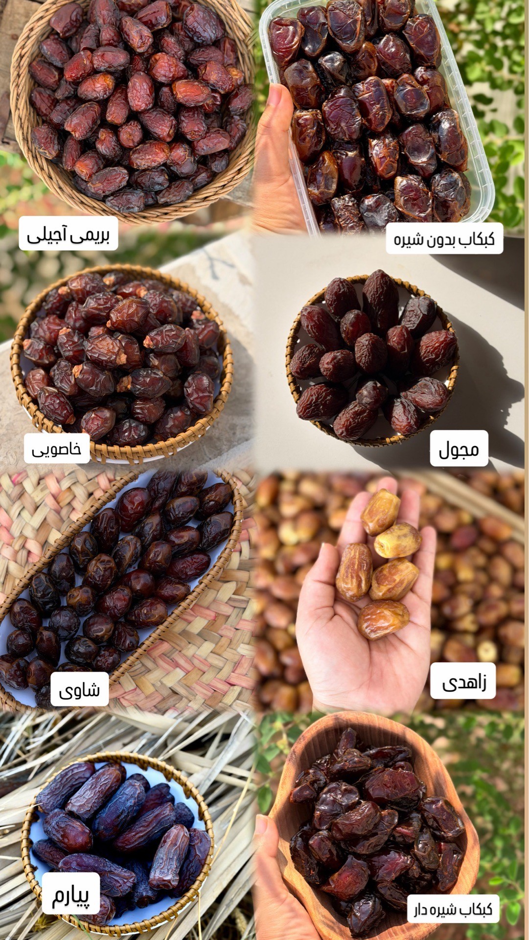 خرما