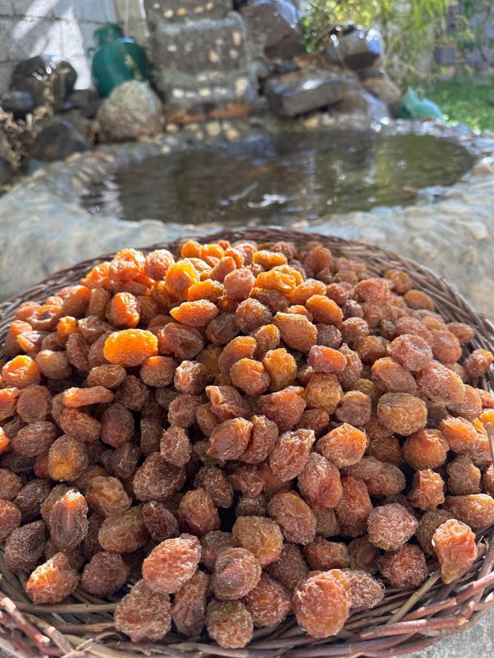 🍎🍌انواع الو و لواشک. و میوه خشک🍒🥝