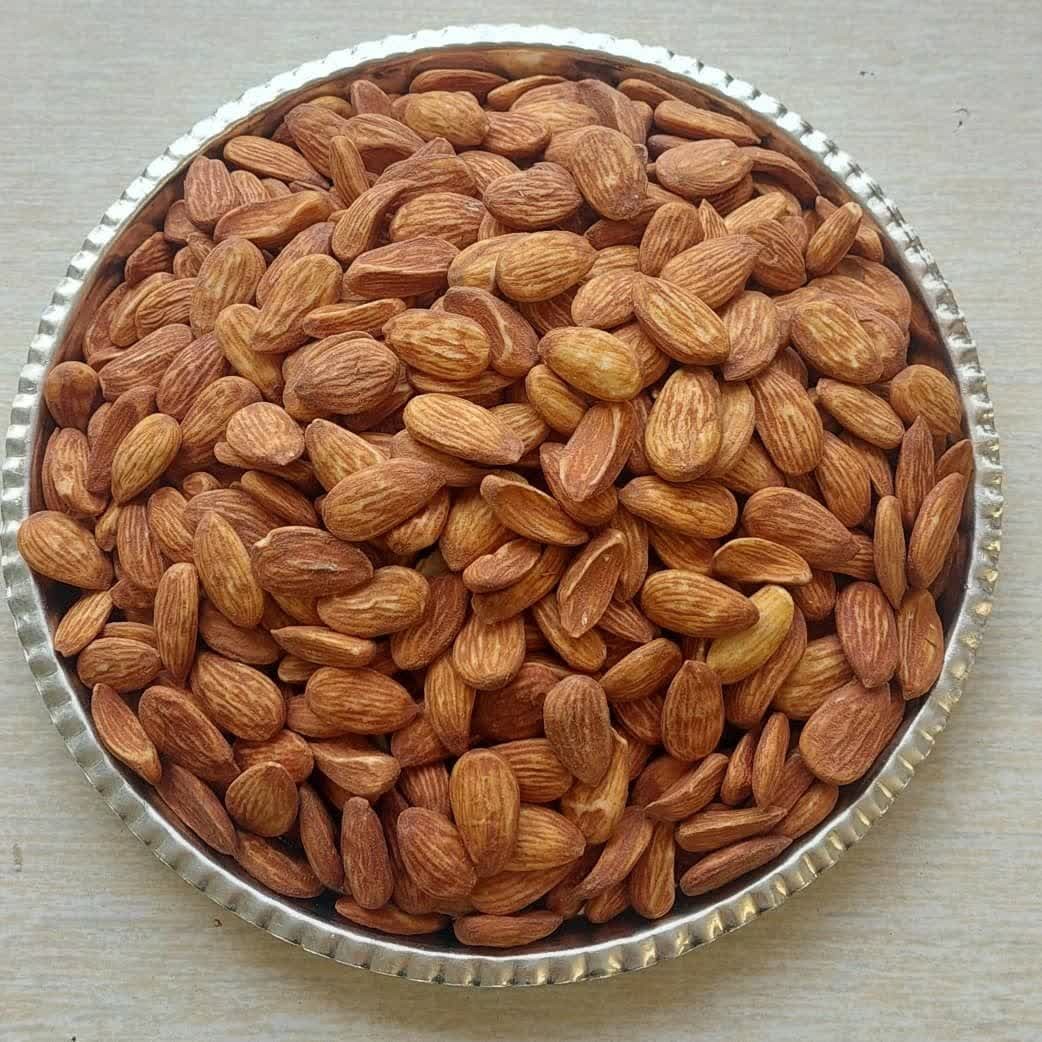 مغز ها