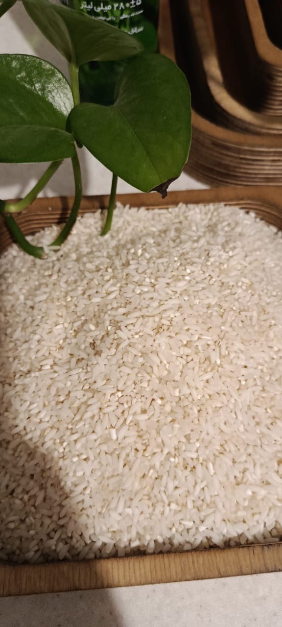 برنج