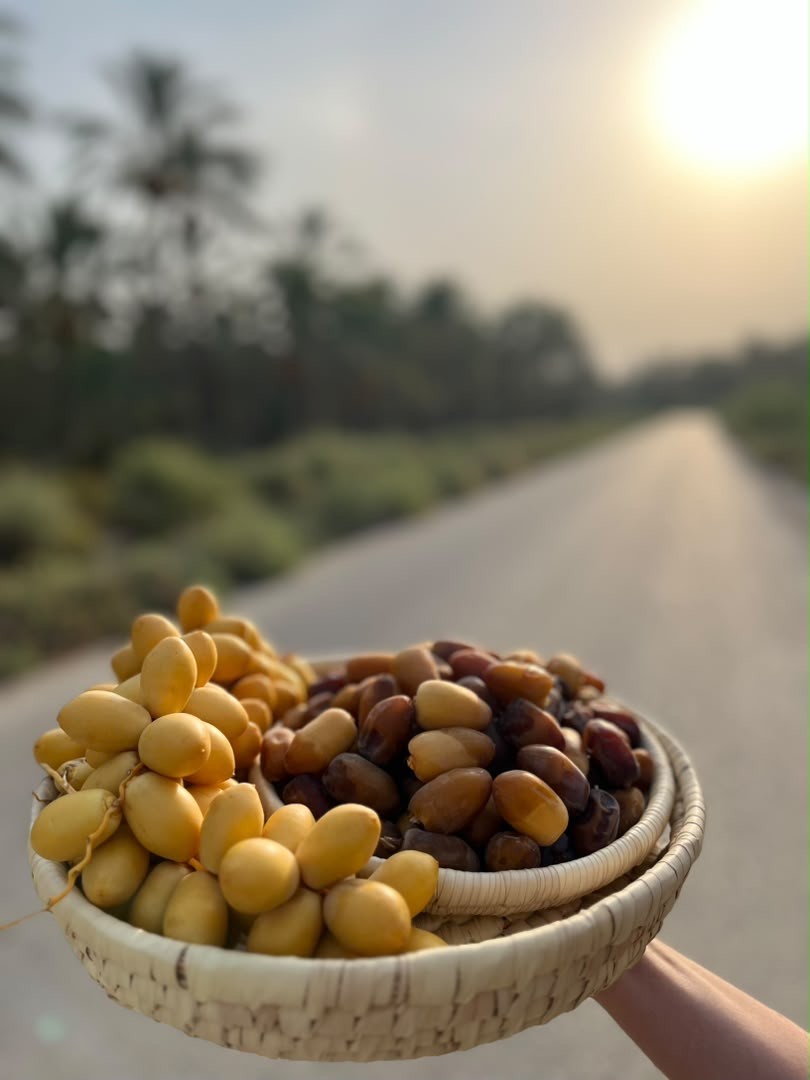 رطب