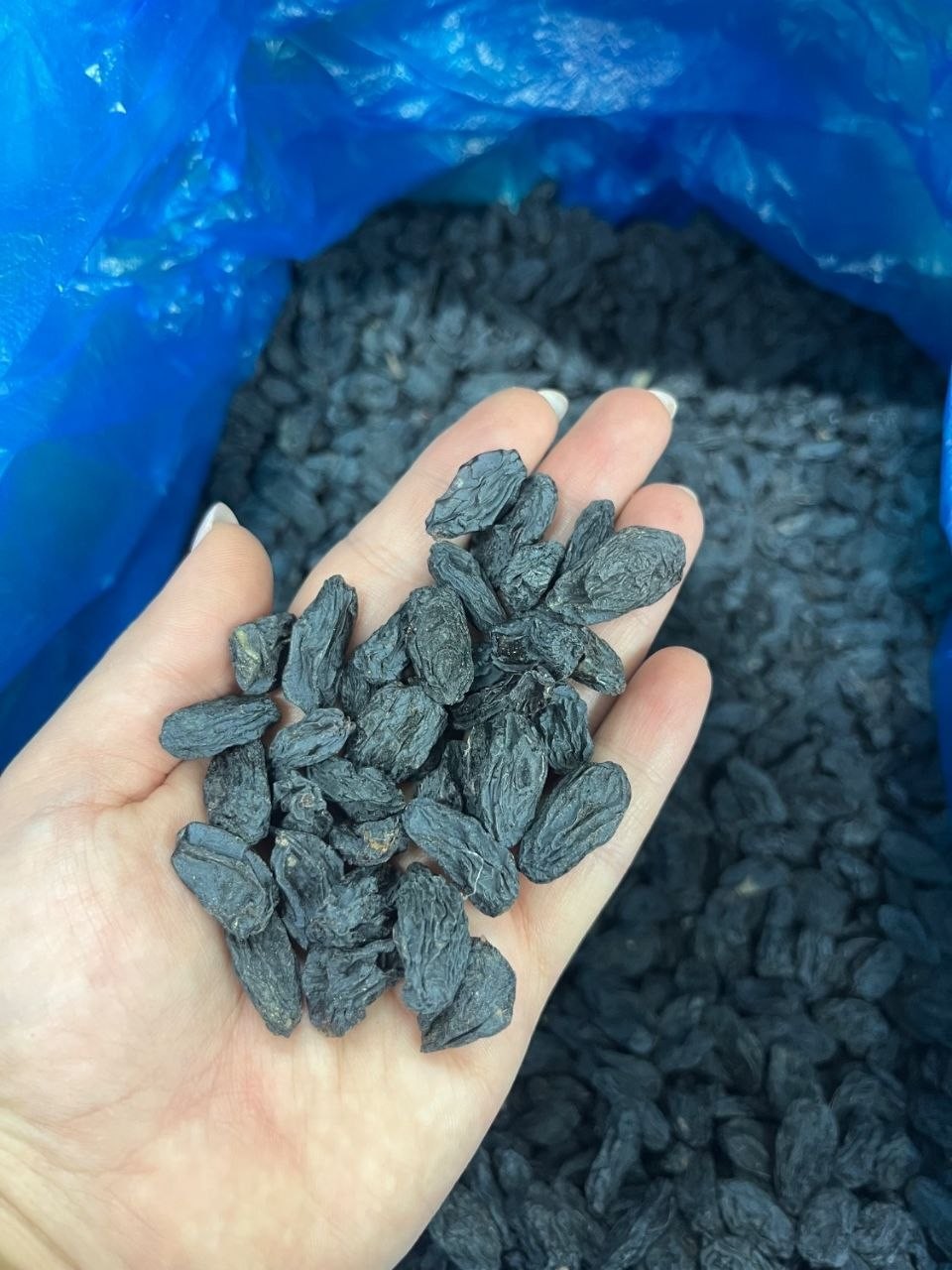 🍇انواع مویز و کشمش