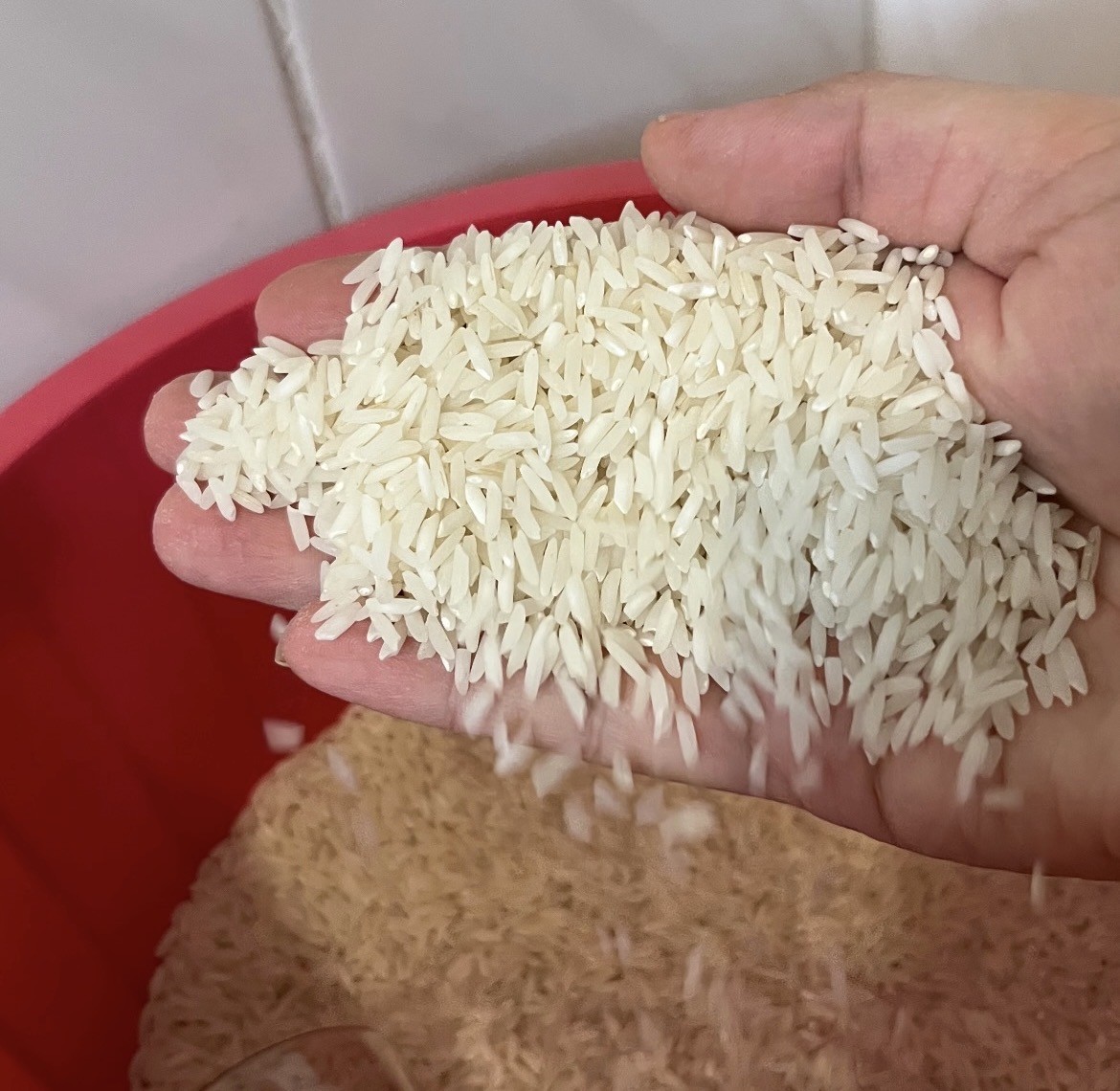 برنج