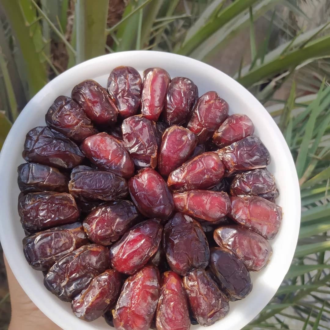 خرما