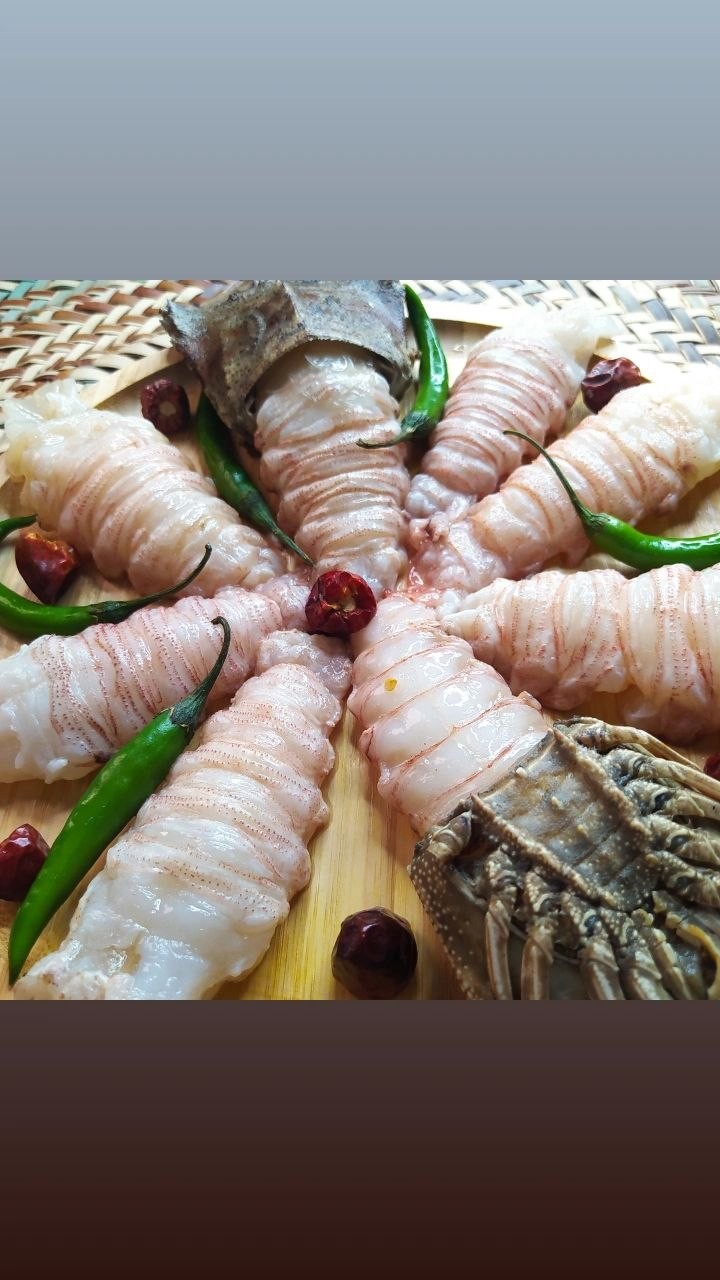آبزبان طبع گرم