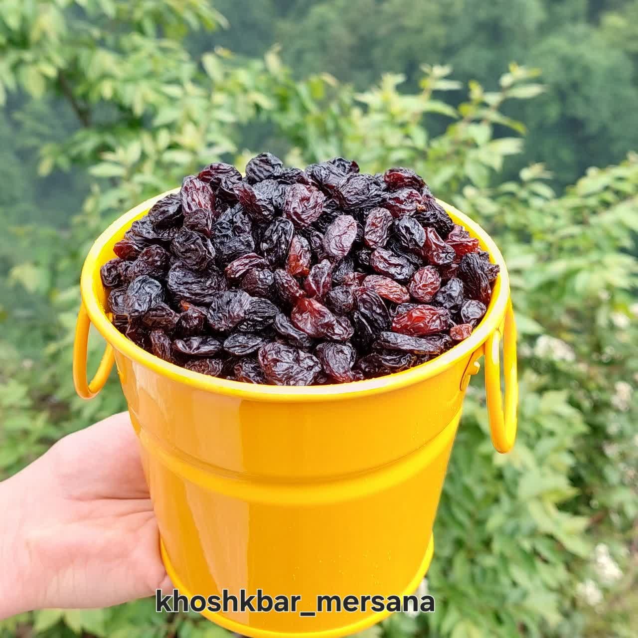 میوه خشک