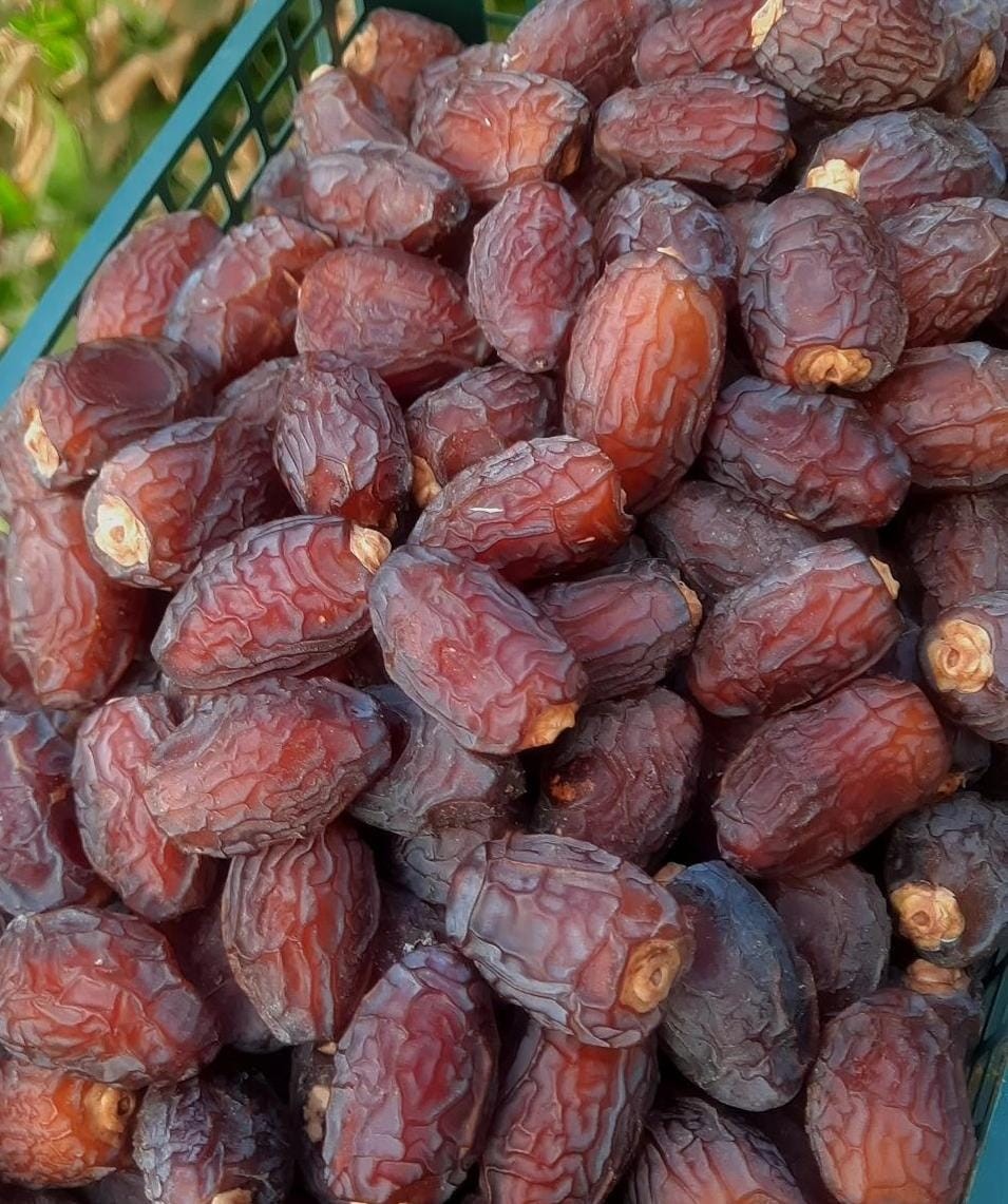 خرما