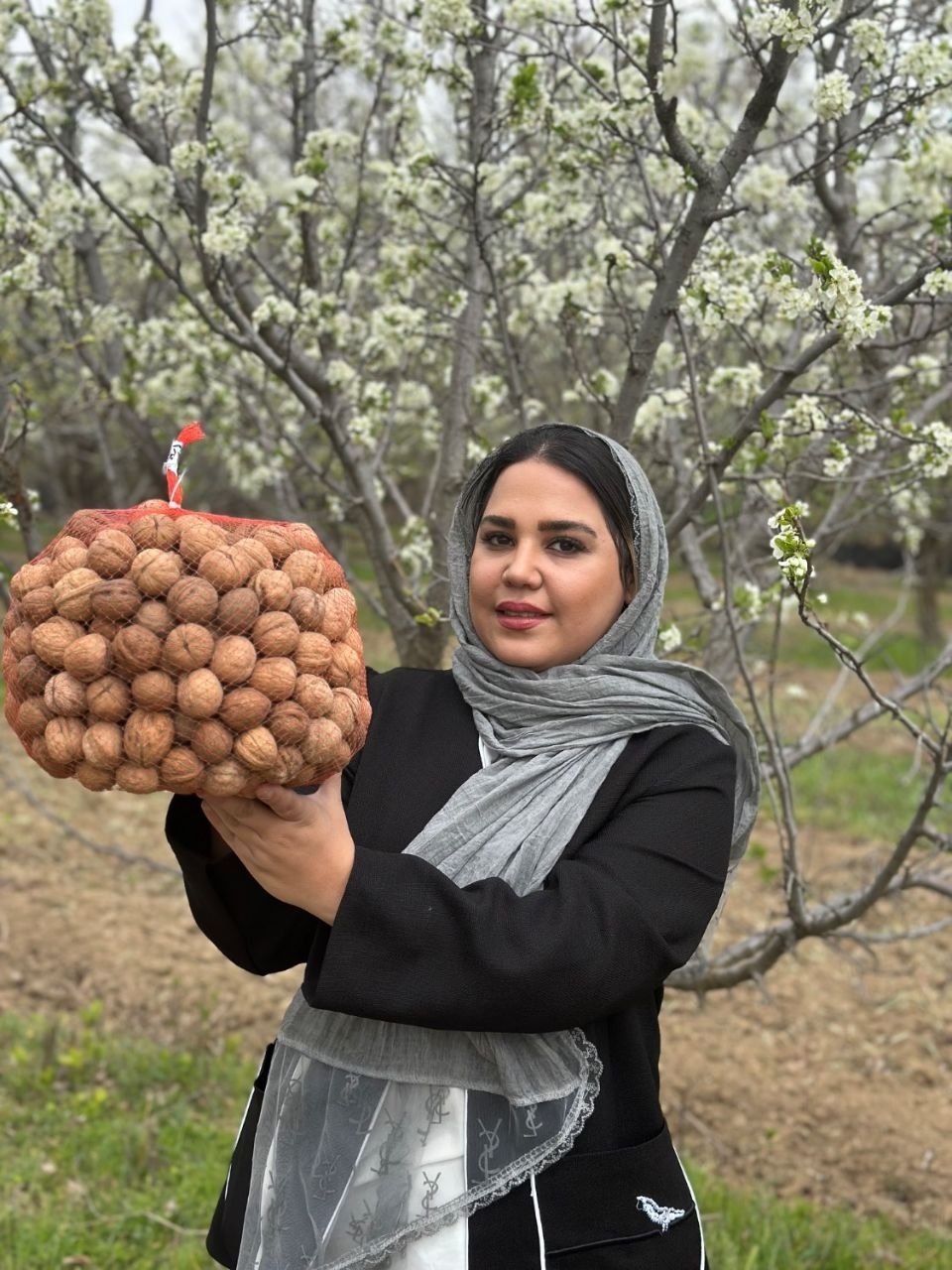 گردو