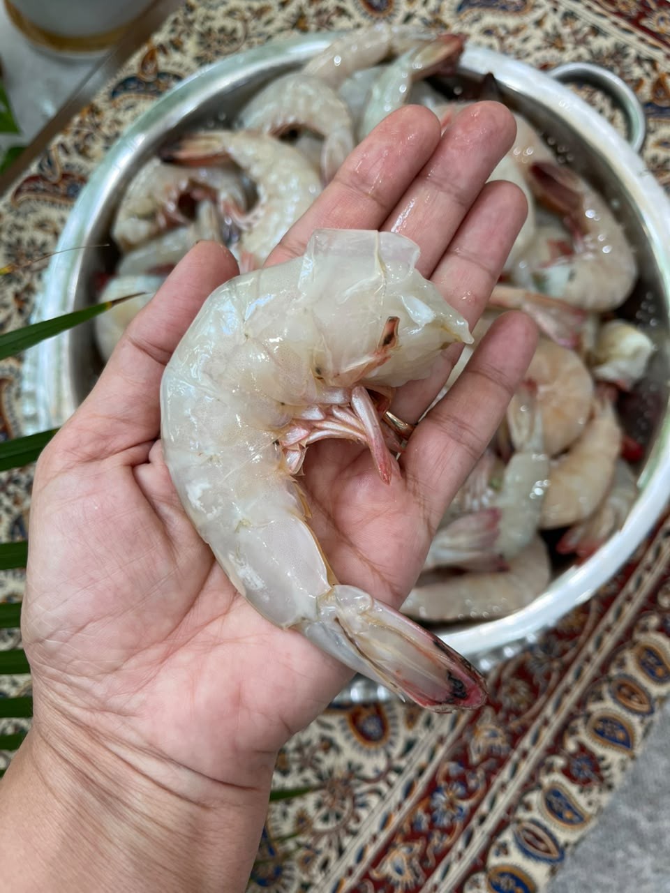میگو