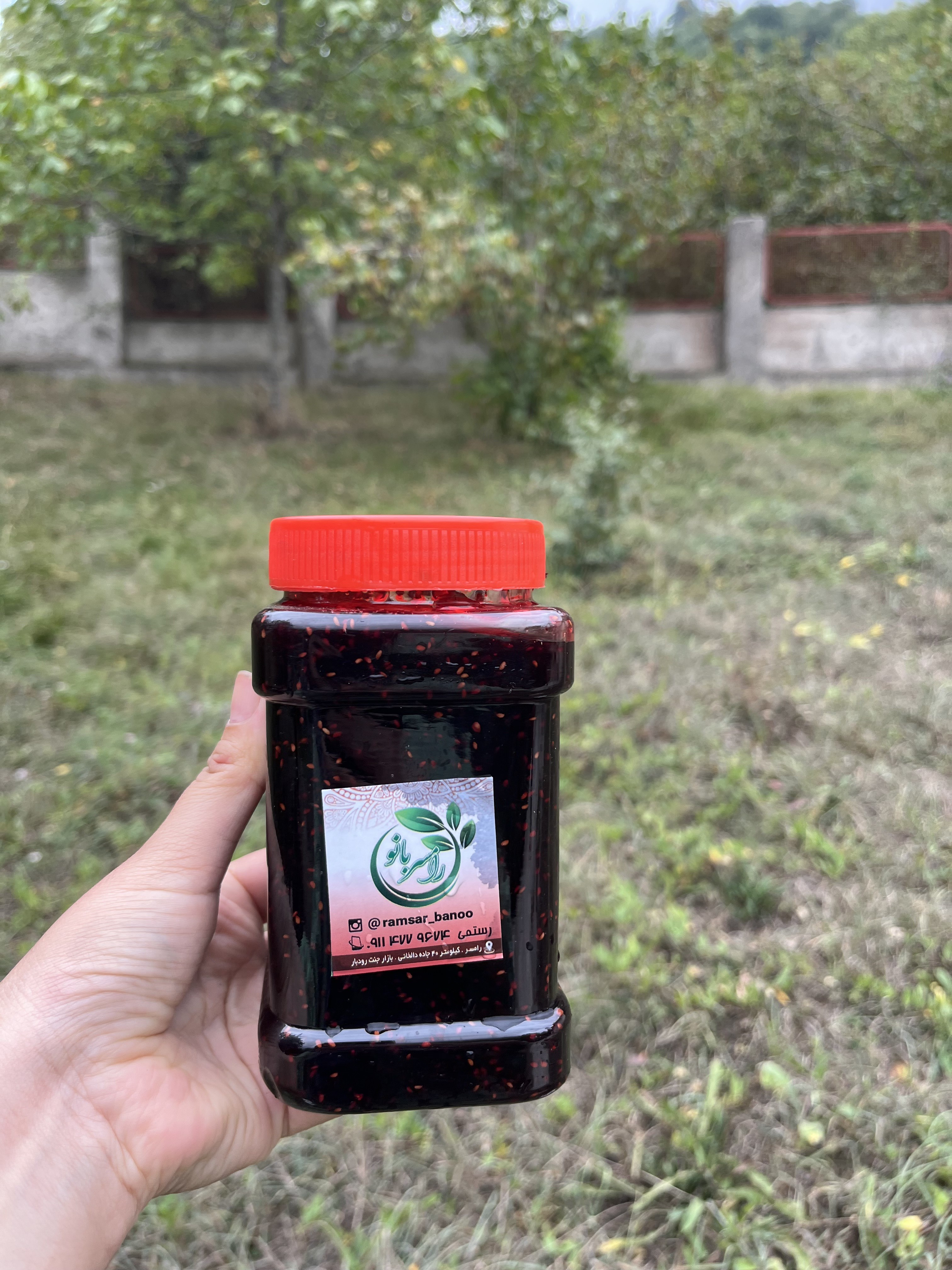 مربا
